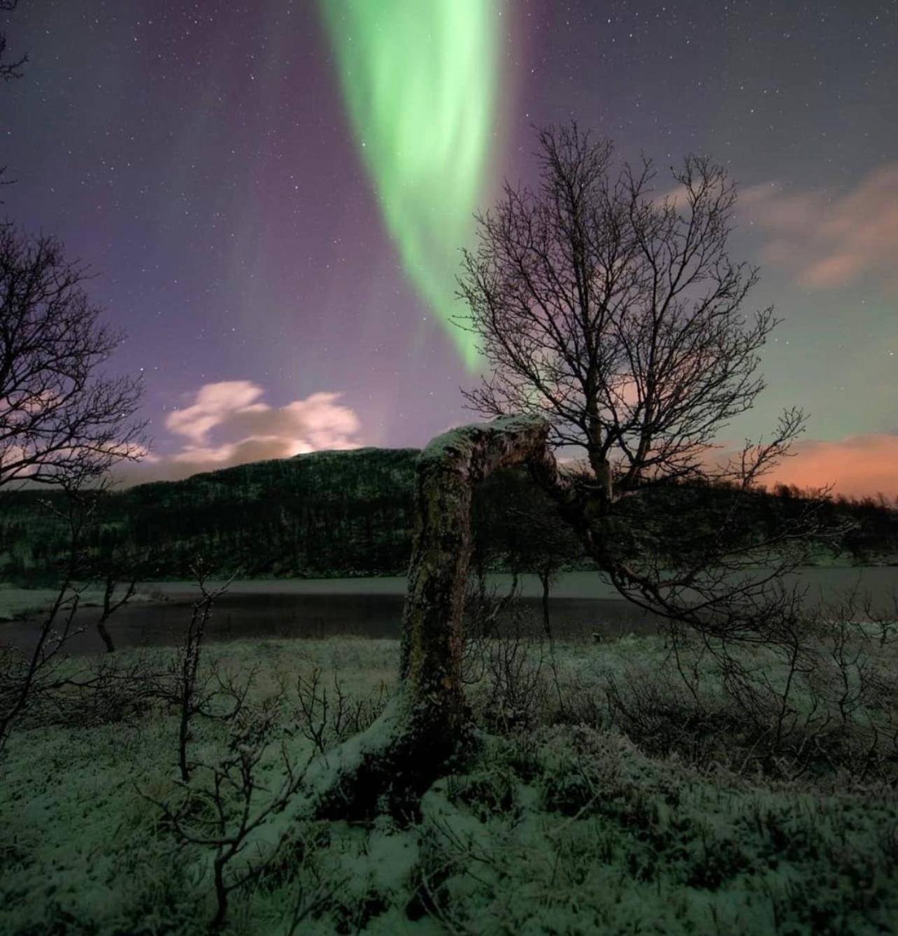 Harstad, All Seasons Buitenkant foto