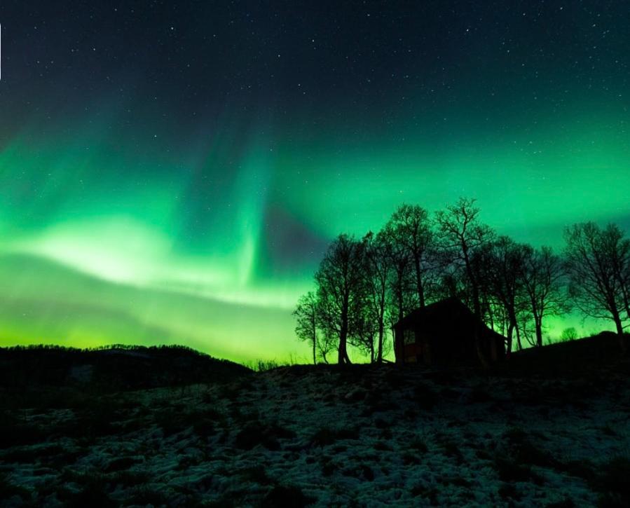 Harstad, All Seasons Buitenkant foto